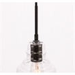 Living District Pierce 1-Light Mid-Century Metal Pendant in Black and Clear