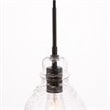 Living District Pierce 1-Light Mid-Century Metal Pendant in Black and Clear