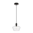 Living District Placido 1-Light Transitional Metal Pendant in Clear/Black