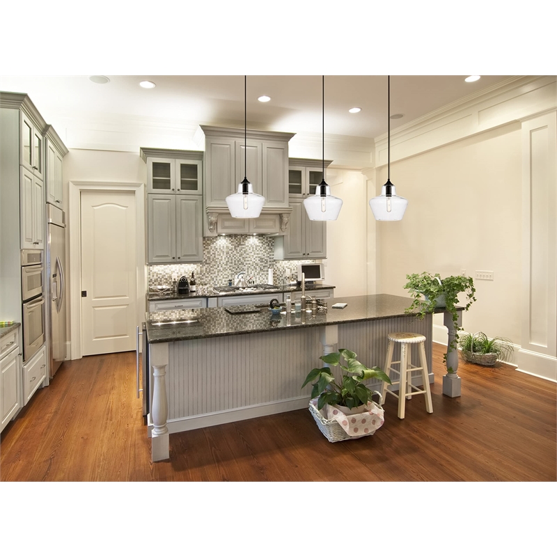 Living District Placido 1-Light Transitional Metal Pendant in Clear/Black