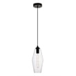 Living District Placido 1-Light Transitional Metal Pendant in Black and Clear