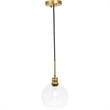 Living District Emett 1-Light Metal Pendant in Brass and Clear Glass Finish