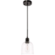 Living District Gabe 1-Light Metal Pendant in Black and Clear Seeded Glass
