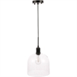 Living District Gabe 1-Light Metal Pendant in Black and Clear Seeded