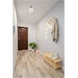 Living District Gene 1-Light Metal & Glass Flush Mount in Chrome/Frosted White