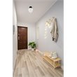 Living District Gene 1-Light Metal & Glass Flush Mount in Black/Frosted White