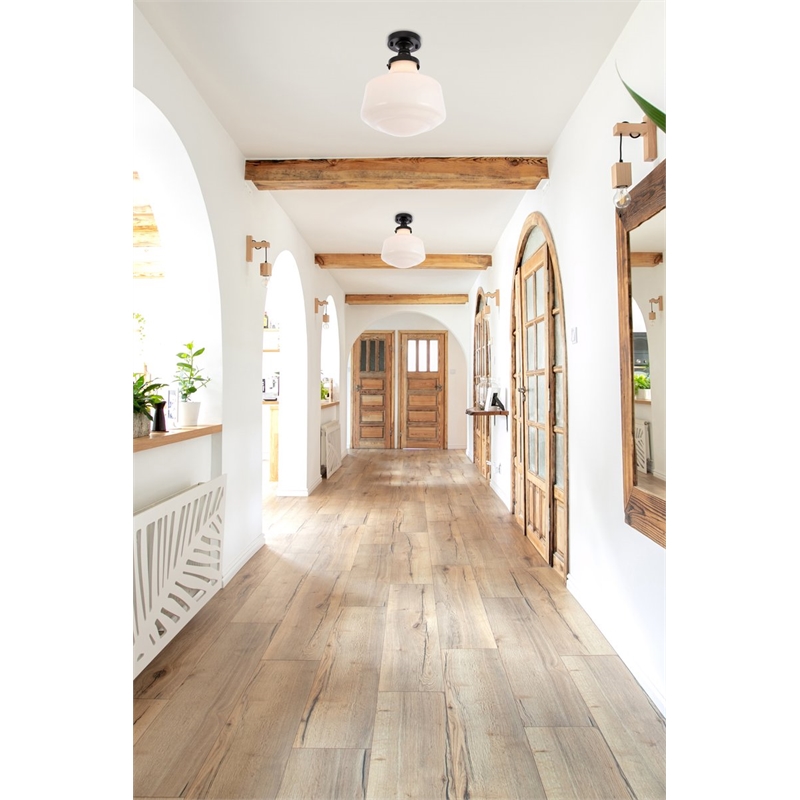 Living District Lyle 1-Light Glass & Metal Flush Mount in Black/Frosted White