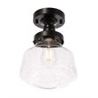 Living District Lyle 1-Light Metal & Glass Flush Mount in Black/Clear