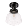 Living District Lyle 1-Light Metal & Glass Flush Mount in Black/Clear