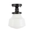 Living District Lyle 1-Light Metal & Glass Flush Mount in Black/Frosted White