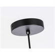 Living District Gene 1-Light Metal Pendant in Black and Clear Glass