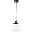 Living District Lyle 1-Light Metal Pendant in Black and Clear Seeded Glass