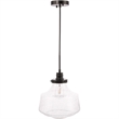 Living District Lyle 1-Light Metal Pendant in Black and Clear Seeded