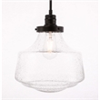 Living District Lyle 1-Light Metal Pendant in Black and Clear Seeded