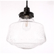 Living District Lyle 1-Light Metal Pendant in Black and Clear Seeded