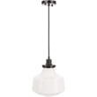 Living District Lyle 1-Light Metal Pendant in Black and Frosted White Glass