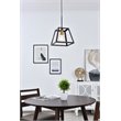 Living District Resolute 1-Light Mid-Century Metal Pendant in Brass and Black