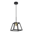 Living District Resolute 1-Light Mid-Century Metal Pendant in Brass and Black