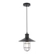 Living District Flaneur 1-Light Metal Pendant in Black Finish