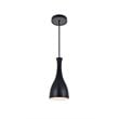 Living District Aiken 1-Light Modern Aluminum Pendant in Black