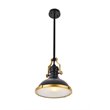 Living District Eamon 1-Light Modern Metal Pendant in Matte Black