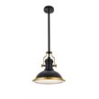 Living District Eamon 1-Light Modern Metal Pendant in Matte Black