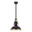 Living District Eamon 1-Light Modern Metal Pendant in Matte Black