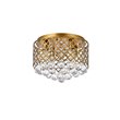 Living District Tully 4-Light Contemporary Metal Flush Mount in Brass and Clear