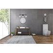 Living District Phineas 3-Light Metal Bath Sconce in Black and Clear