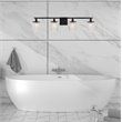 Living District Phineas 4-Light Metal Bath Sconce in Black and Clear