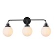 Living District Hanson 3-Light Metal Bath Sconce in Black and Frosted