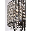 Living District Elise 4-Light Transitional Style Metal Flush Mount in Black