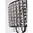 Living District Elise 4-Light Transitional Style Metal Flush Mount in Black