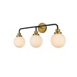 Living District Hanson 3-Light Metal Bath Sconce in Black and Brass