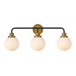 Living District Hanson 3-Light Metal Bath Sconce in Black and Brass