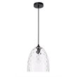 Living District Gibson 1-Light Metal & Glass Pendant in Black/Clear