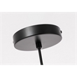 Living District Gibson 1-Light Metal & Glass Pendant in Black/Clear