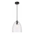 Living District Gibson 1-Light Metal & Glass Pendant in Black/Clear