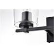 Living District Kacey 2-Light Iron & Glass Bath Sconce in Black/Clear