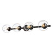 Living District Rogelio 4-Light Iron & Glass Bath Sconce in Black/Clear