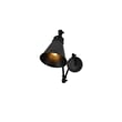 Living District Ledger 1-Light Metal Swing Arm Wall Sconce in Black