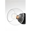 Living District Rogelio 1-Light Iron & Glass Bath Sconce in Black/Clear