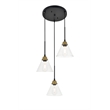 Living District Histoire 3 Light Brass and Black Pendant
