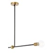 Living District Brees 1 Light Black and Brass Pendant
