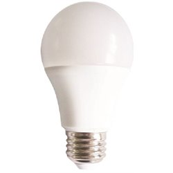 Light Bulbs & Components