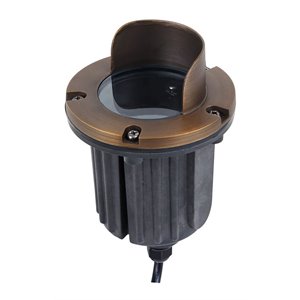 elitco lighting aera cast brass well light with integrated canopy in brass