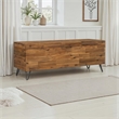 Belmont Home Hailey 46