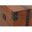 Belmont Home Brighton Natural Reclaimed Wood Trunk Table in Brown/Black