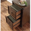 Baton Rouge 2 Drawer File Cabinet in Brushed Walnut Finish in Engineered Wood