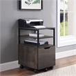 Contempo Mobile Cart in Ozark Ash Brown finish